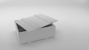 Packing Box Render