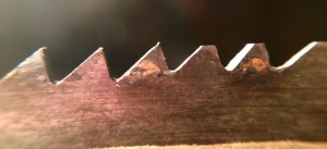 Sharpened Saw Teeth