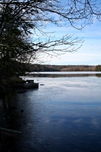 Cold Morning on the Lake