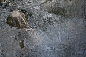 Ice Forming on the Lake