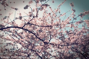 Vintage Photo Effect