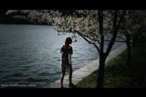 Film Frame Photo Effect