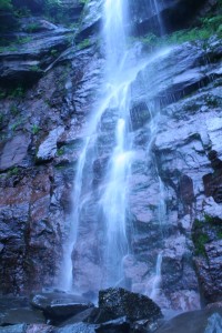 Catskill Stream