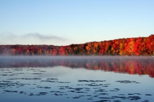 Gorgeous Fall Colors